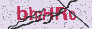 Captcha認証コード