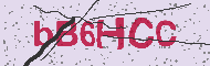 Captcha認証コード