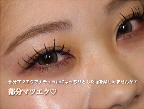 【まつ毛キャンペーン】 【まつ毛キャンペーン】